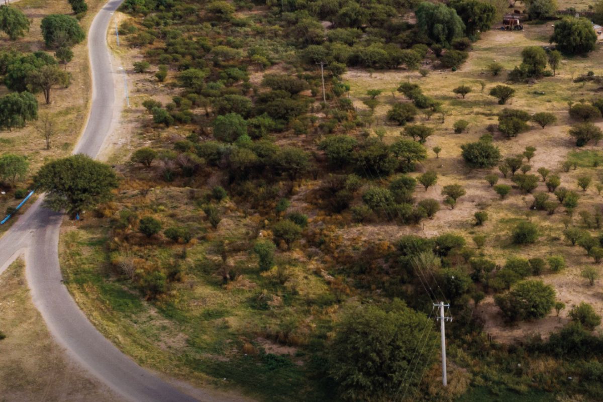Terreno de 4 hectáreas en San Luis Capital