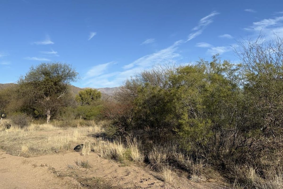 Lote de 1.000 m² a 6 km de Villa de la Quebrada