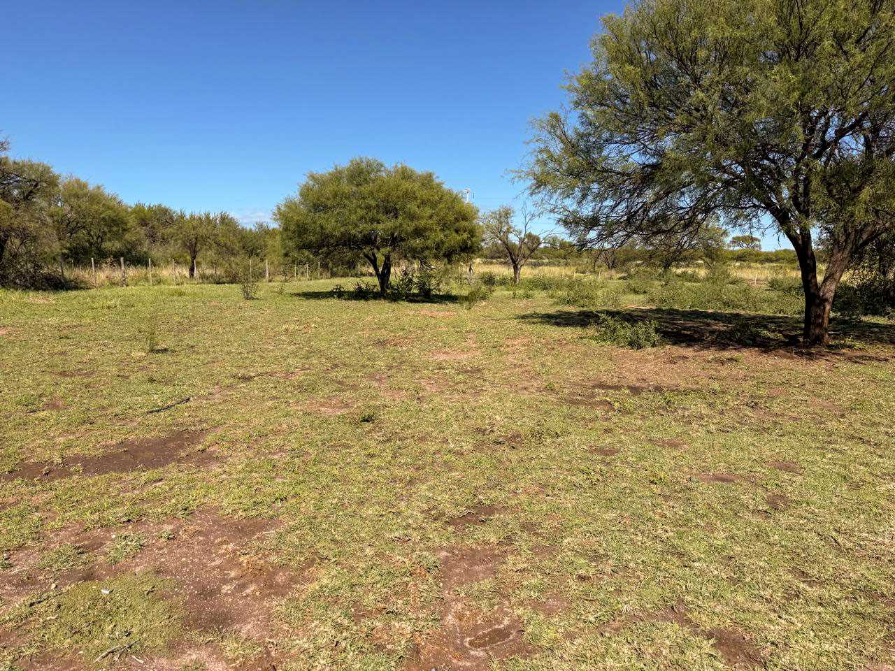 Chacra de 8,2 hectáreas con riego sobre Ruta 146